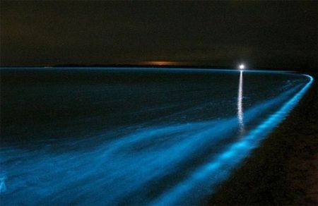 Светящееся озеро в Австралии (8 фото)